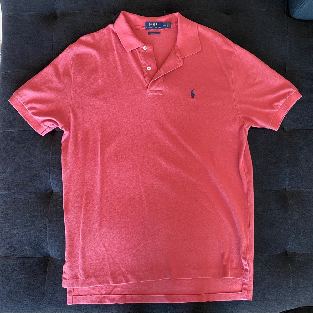 Polo Collard Shirt